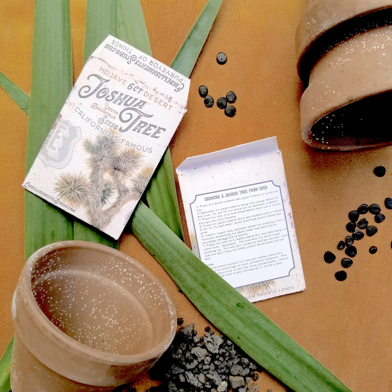 Gift Packet of Joshua Tree Seeds featuring art by Aaron Christensen
